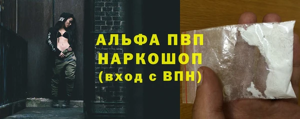 гидра Балахна