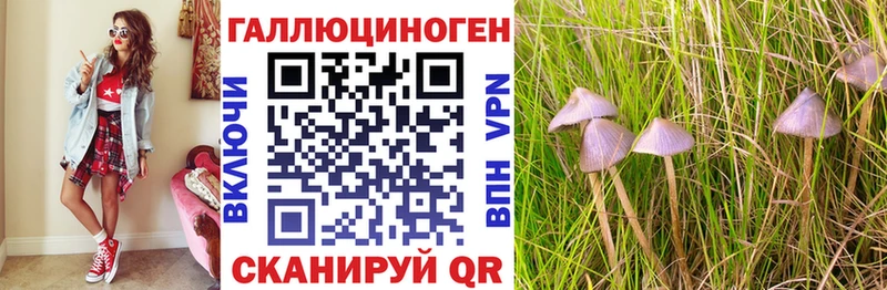 Галлюциногенные грибы MAGIC MUSHROOMS  KRAKEN сайт  Луховицы 